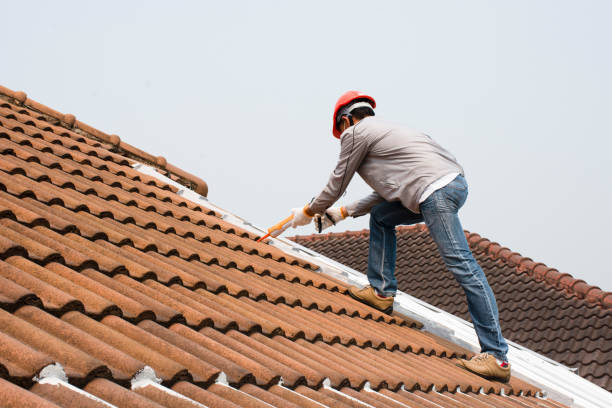 Best Rubber Roofing (EPDM, TPO)  in Ashdown, AR