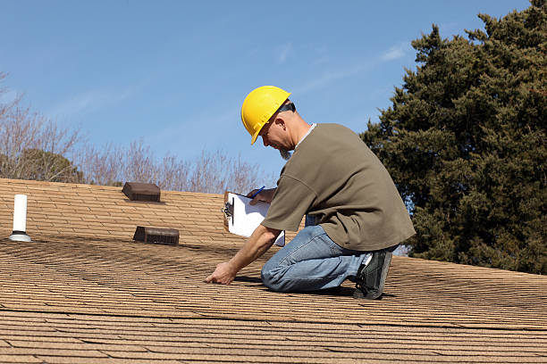 Best Solar Panel Roofing Installation  in Ashdown, AR